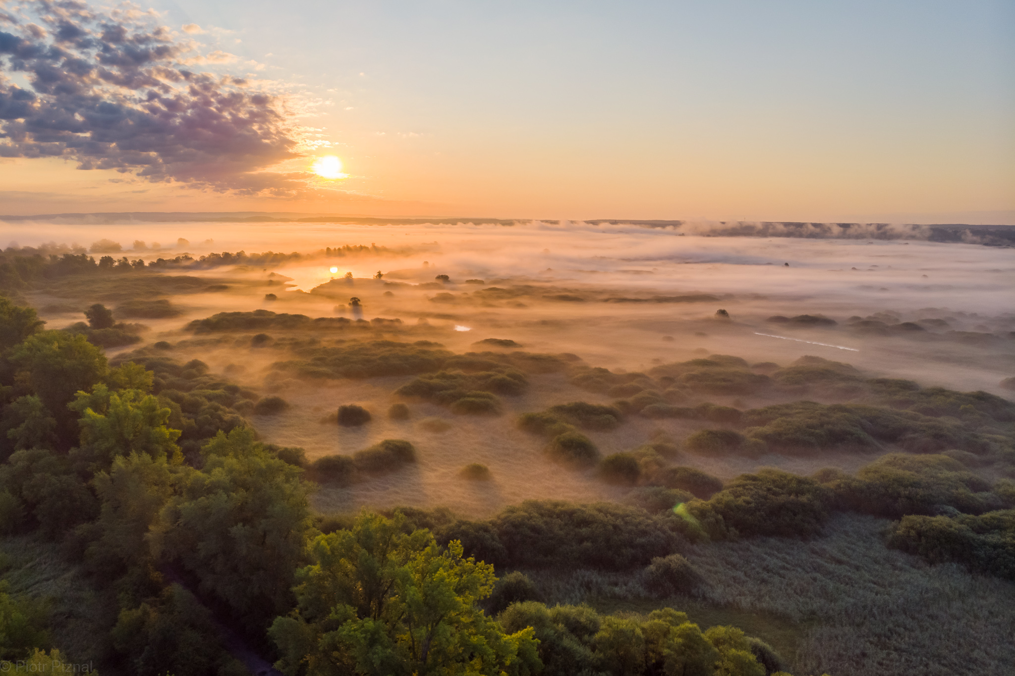 Postęp prac na rzecz utworzenia parku narodowego w Doliny Dolnej Odry z udziałem pracowników INoMiŚ