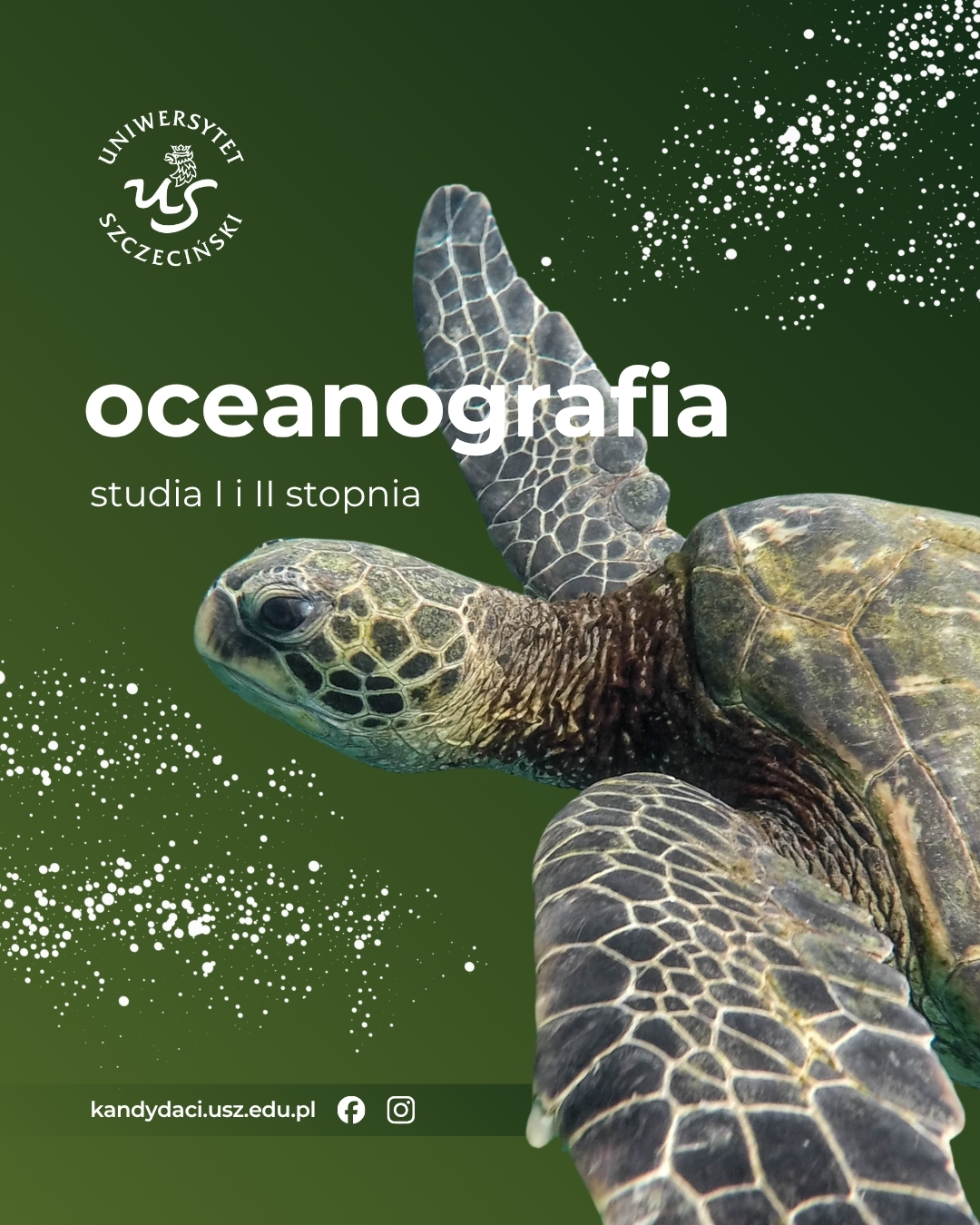 Zapraszamy Na Kierunek Oceanografia